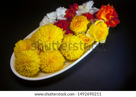 flowers in a vase, isolated against a black background