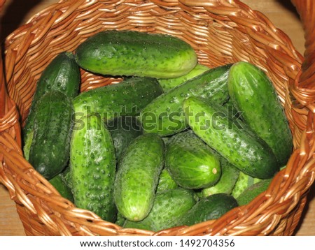 Cucumbers in a basket close-up