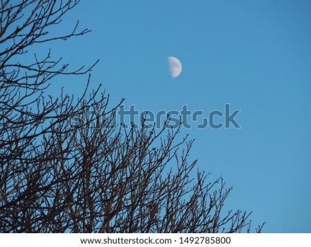 The moon on winter is beautiful