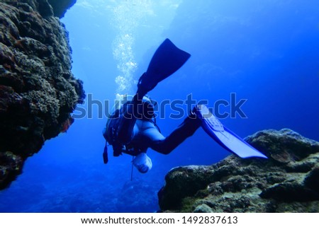 Twin cape of diving spot in Shimojijima, Miyakojima city, Diver swimming in a crack in the seabed rock Royalty-Free Stock Photo #1492837613