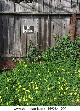 rustic old fence with no parking sign parially covered with spring flowers