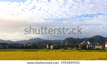 View of Rice Field and Japanese Community in Yamaguchi City, Japan.