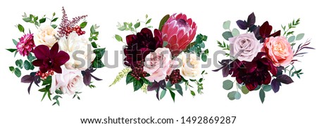 Luxury fall flowers vector bouquets. Protea flower, peachy coral garden rose, burgundy red peony, dahlia, orchid, astilbe, greenery and berry. Autumn wedding bunch of flowers. Isolated and editable Royalty-Free Stock Photo #1492869287