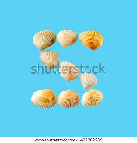 Letter "z" composed from seashells, isolated on gentle blue background