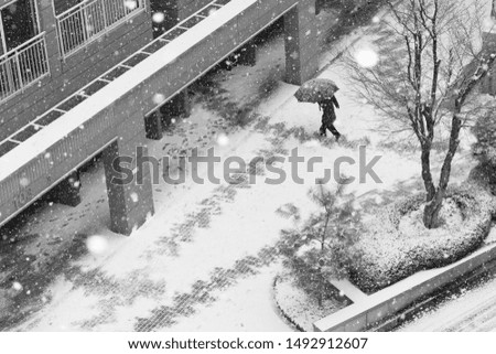 a passerby walking on a snowy day
