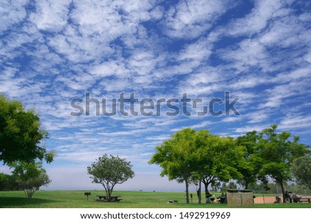 Beatiful cirrus clouds with blue sky at natural park in California
