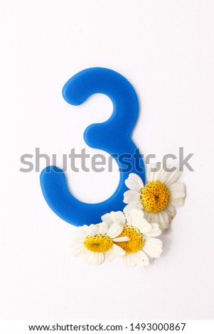 Number three with flowers on a white background. isolated. Training. Cards for children

