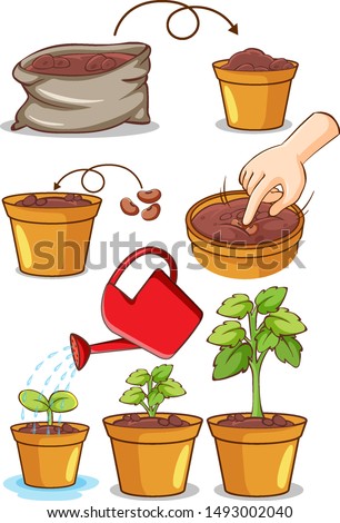 Set of planting process on white background illustration