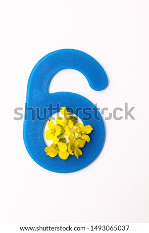 Number six with flowers on a white background. isolated. Training. Cards for children