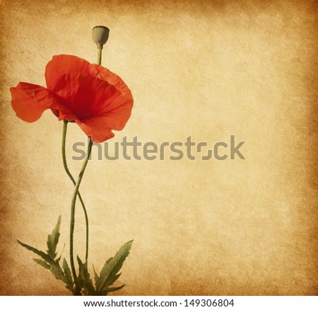 old paper texture with poppy