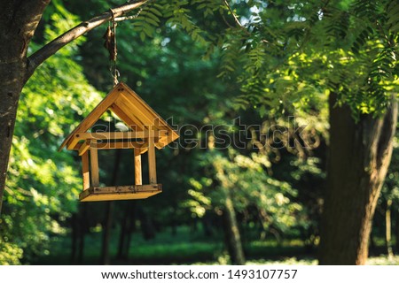 bird feeder wooden small hand made object for seeds hanging on a tree branch on unfocused green natural park background, animal care concept picture 