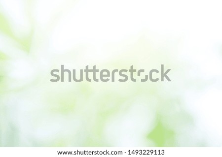 Green Leaf background. Leaf blurred. The bokeh circle from the leaves with light shining through. Concept green world