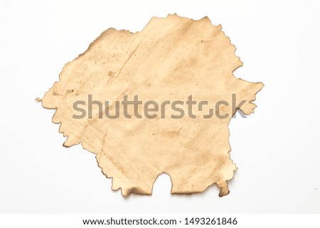 Aged beige paper with burnt edge on white background. Grunge abstract design. Copy space.