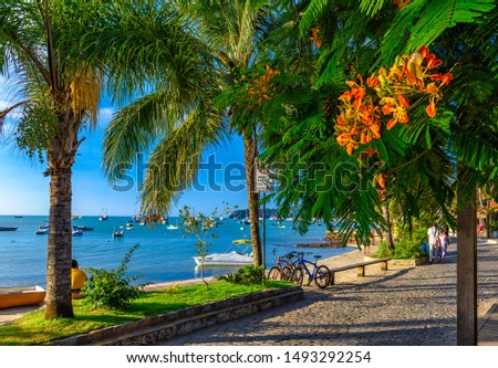 Seafront with palms in Buzios, Rio de Janeiro, Brazil. Cityscape of Buzios