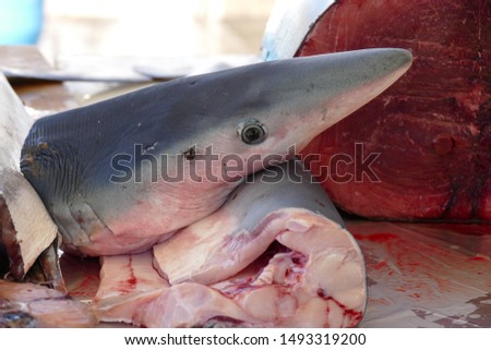 Shark on a market in France