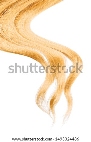 Blond hair, isolated on white background