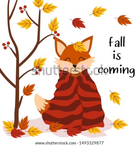 'poster fall is coming with fox on a white background - vector illustration, eps