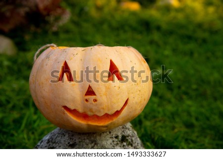 Orange Halloween pumpkin with carved eyes, nose and mouth stands on a stone on the bright green grass.