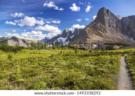 Green Alpine Meadows and Rockwall Mountain Cliffs on a Great Summertime Hiking Trail in Kootenay National Park, Canadian Rockies Royalty-Free Stock Photo #1493338292
