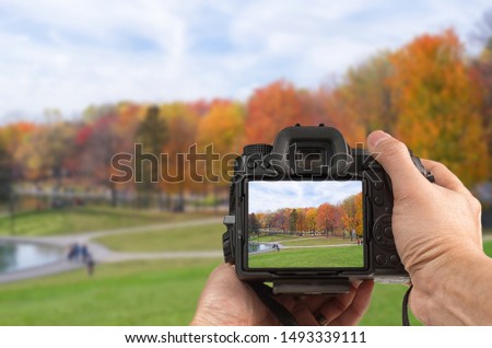 Photography concept with hand holding a modern DSLR capturing autumn scenery