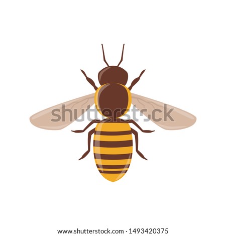 Bee vector clip-art, isolated cartoon style design.
