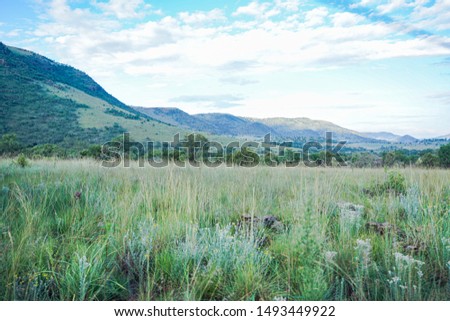 The great African savanna beautiful hills and mountain, lush green valley