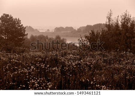 Summer landscape, river, fog, in the morning, with a beautiful sky, in an ecological place, with a sepia movie filter