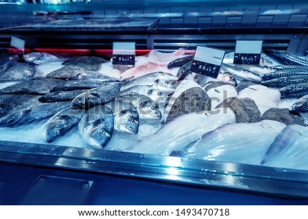 Fresh freezed fish on ice for sale in a market