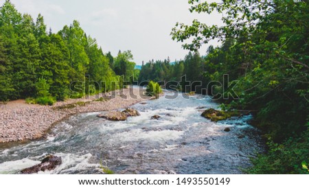 Mountain river in the north of Sakhalin Island.