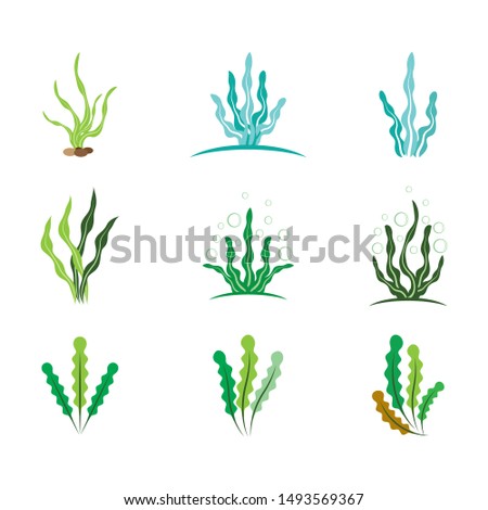 
Seaweed logo template vector icon