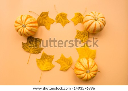Autumn frame made of pumpkins and fallen leaves on pastel orange background. Fall, Halloween and Thanksgiving concept. Styled stock flat lay photography. Top view. Empty space for your text.