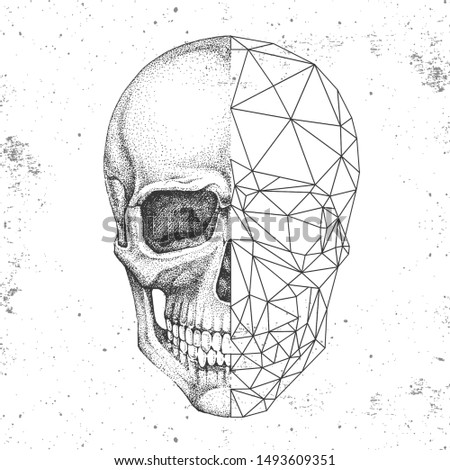 Hipster realistic and polygonal skull on grunge background