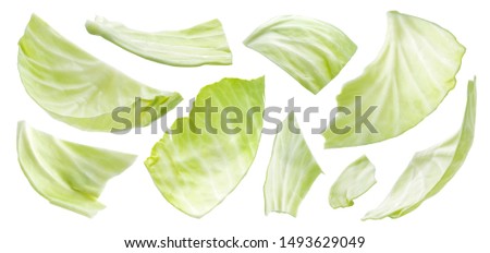 Sliced cabbage isolated on white background with clipping path, collection of fresh flying cabbage leaves, top view Royalty-Free Stock Photo #1493629049