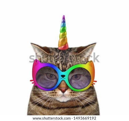 The cat unicorn wears the funny sunglasses. White background. Isolated.