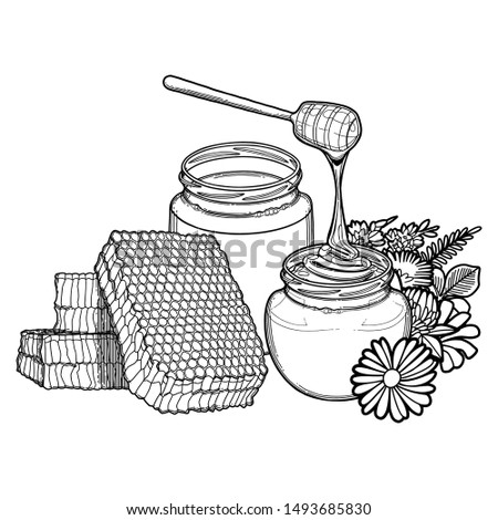 Graphic bottles with different varieties of honey surrounded by honeycombs, meadow flowers and bees. Isolated vector design