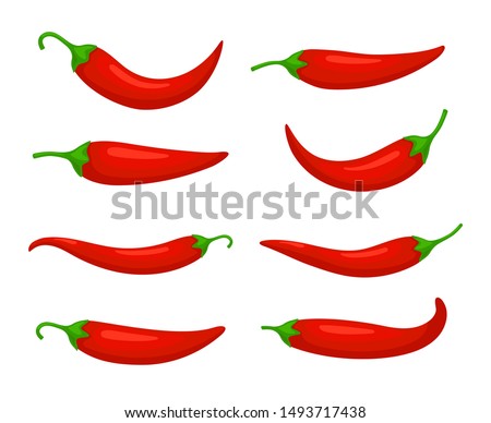 Closeup chilly pepper. Hot red chili peppers, cartoon mexican chilli or chillies illustration, vectors paprika icon signs isolated on white background Royalty-Free Stock Photo #1493717438