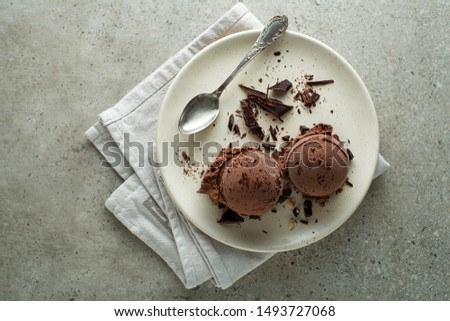 Homemade Organic chocolate Ice Cream scoops in a plate close up