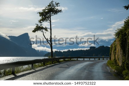 The road along the lake. The road is wet after rain, lit by the sun going between the cliff and the lake and beyond the horizon, mountains are visible in the haze. Along the road stands a single tree,