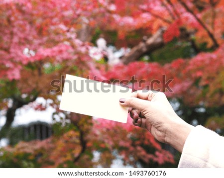 Close up woman hand holding empty cream card or ticket over red leaves blur background at autumn Japanese park.