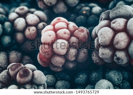 Close up fresh frozen blackberry background. Macro view.