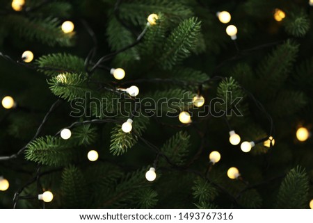Fir tree branches with glowing yellow Christmas light as background