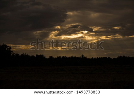 Sun rays passing through the clouds on a beautiful evening in a rural village near coimbatore, India. Silhouette shot of a coconut farm with sun rays hitting on it.  