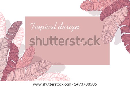 Pink banner with tropical banana leaves. Frame
