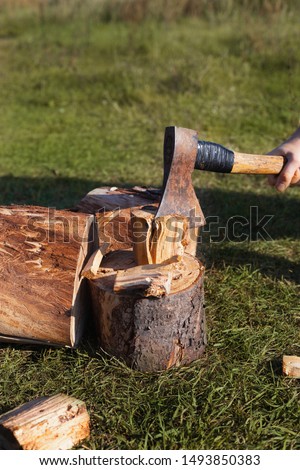 Old ax in a log