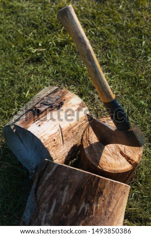 Old ax in a log