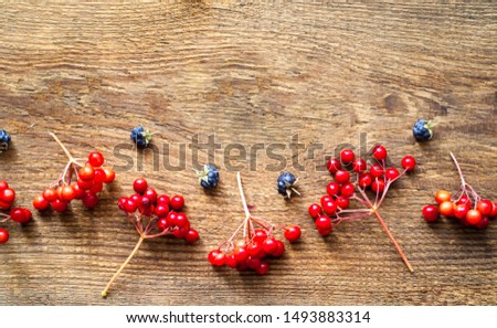 Autumn decor. Viburnum and blackberry berries on wooden background. Close-up, copy space