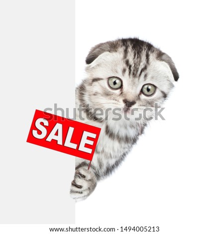 Surprised kitten with sales symbol above empty white banner. Space for text. Isolated on white background