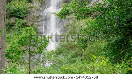 Waterfall in forest at National Park, Thailand.