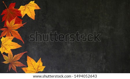 autumn - autumnal black isolated background with colorful leaves and pumpkins