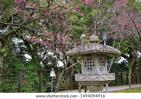 Landscape with stone lanterns and cherry blossoms.